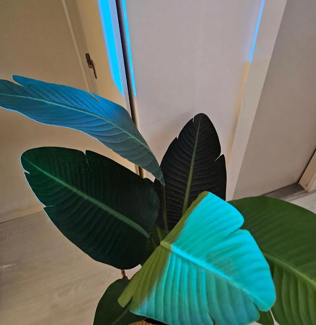 Apartment Emotional House - Night View, Full Options, One Bedroom Incheon South Korea